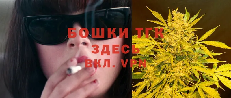 Конопля SATIVA & INDICA  Москва 